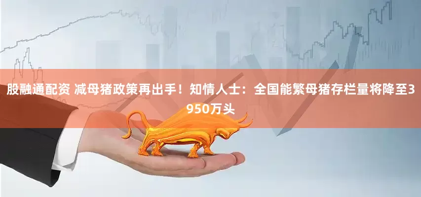 股融通配资 减母猪政策再出手！知情人士：全国能繁母猪存栏量将降至3950万头