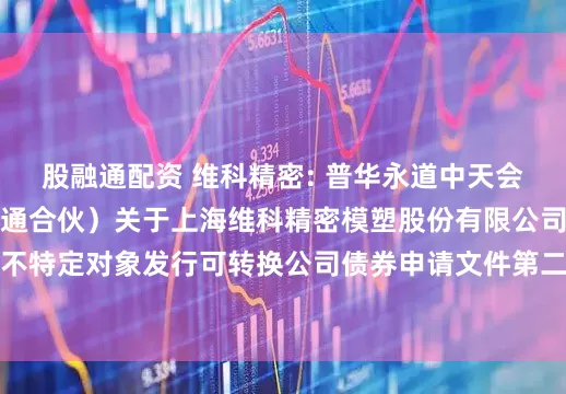 股融通配资 维科精密: 普华永道中天会计师事务所（特殊普通合伙）关于上海维科精密模塑股份有限公司申请向不特定对象发行可转换公司债券申请文件第二轮审核问询函回复的专项意见